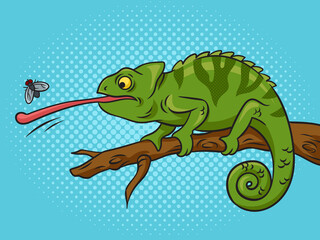 chameleon catches fly with its tongue pop art retro raster illustration. Comic book style imitation.