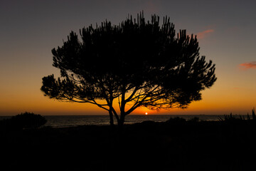 Sunset at La Barrosa beach in Sancti Petri, Cadiz, Spain