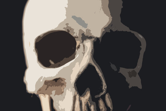 Obscure white-gray human skull design illustration over black background. Different shades of black and white used in the graphic art. Human anatomy concept. . High quality photo