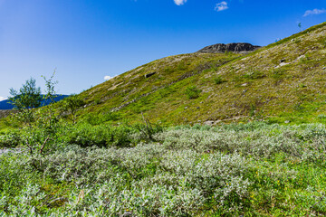 Mountains Apatite. Ski resort- Arctic region of Russia is a popular hiking trail