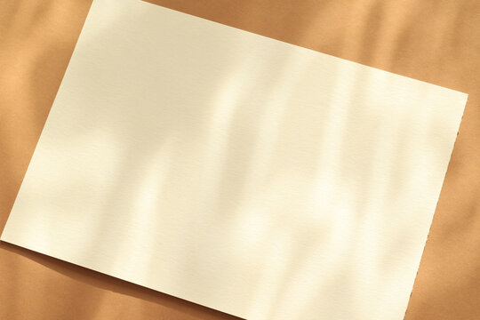 empty white paper sheet on brown background with sunlight glow and shadows