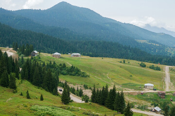 Georgian mountain landscape with a country road, a view of the woodlands