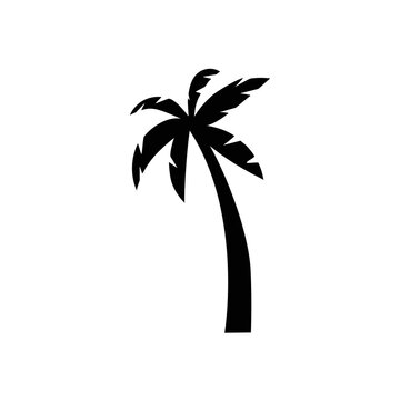 Black vector single palm tree silhouette icon