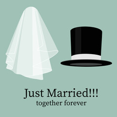 White bride veil and groom black cylinder - 526775633