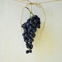 A bunch of dark blue grapes hanging on a rope.