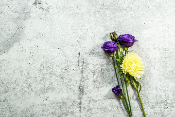 Purple lisianthus flowers and a single yellow aster flower placed at the right of the image allowing for text at the left.  Concrete background.