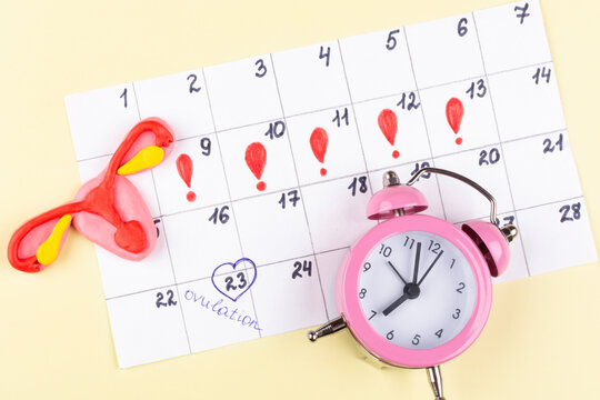 Time for conceiving a kid. Ovulation and menstruation calendar, alarm clock, uterus layout on a yellow background. Pregnancy planning.