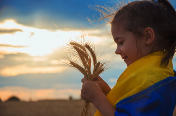 A child with wheat ears against the sky. A child with the Ukrainian flag in the field. War in...