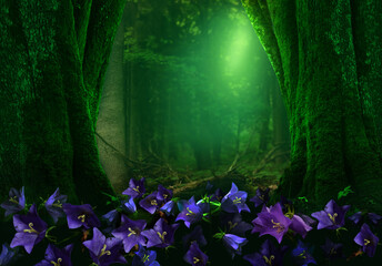 Bluebells in forest. Landscape with wild flowers in the woods framed by old mossy trees and sunlight on background