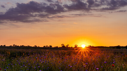 wschód słońca, zachód słońca, pole, sunrise, sunset, wieś, polska, niebo, pola, krajobraz,  - obrazy, fototapety, plakaty