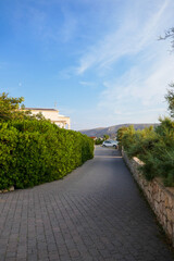 Beautiful road in the forest in the mountains. Landscape with road and nature.
