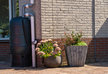 Pot plants and plastic rain barrel with overflow prevention system on facade of modern house