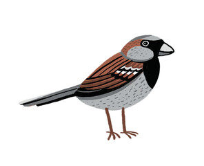 Sparrow Bird, PNG