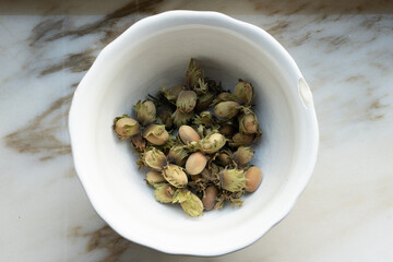 Bowl of hazelnuts
