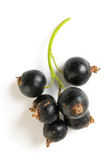 Black currants with leaves isolated on white background with clipping path