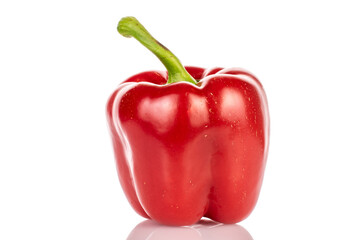 One red organic f bell pepper, close-up, on a white background.