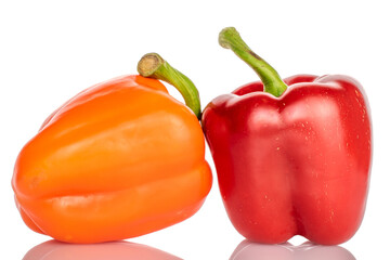 Two whole organic fresh juicy tasty bell peppers, close-up, on a white background.