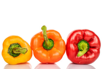 Three whole organic fresh juicy tasty bell peppers, close-up, on a white background.