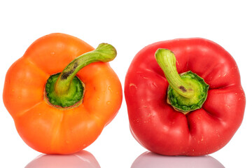 Two whole organic fresh juicy tasty bell peppers, close-up, on a white background.