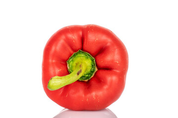 One red organic f bell pepper, close-up, on a white background.