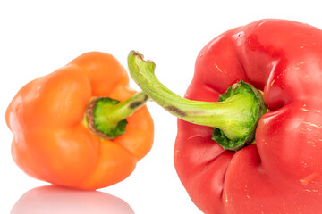 Two whole organic fresh juicy tasty bell peppers, close-up, on a white background.
