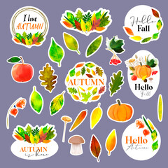 Set stickers Hello autumn with autumn illustration with colorful leaves and autumn harvest