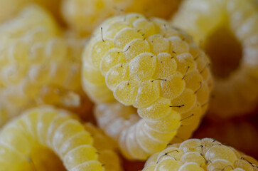 Yellow raspberries