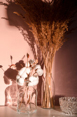 Abstract nature scene with composition of glass and dry branches of cotton. Neutral beige background for cosmetic, beauty product branding, identity and packaging.