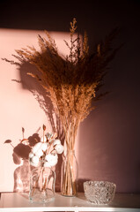 Abstract nature scene with composition of glass and dry branches of cotton. Neutral beige background for cosmetic, beauty product branding, identity and packaging.