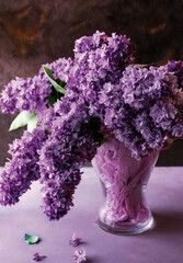 Fototapeta bez kwiat fioletowy wazon ozdoba dekoracja maj kwiecisty flora obraz