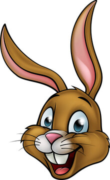 Cartoon Bunny Rabbit Face