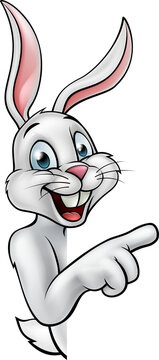 Rabbit or Easter Bunny Pointing