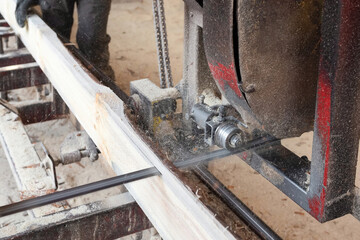 The process of sawing wood at the sawmill. Timber industry