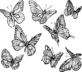 Set of hand drawn black and white butterflies. Black and white vector for coloring books.