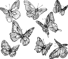 Wall murals Butterflies in Grunge Set of hand drawn black and white butterflies. Black and white vector for coloring books.