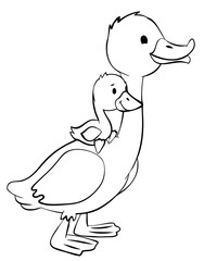 Duck and duckling. Element for coloring page. Cartoon style.