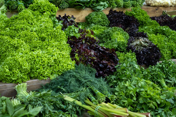 green salad, parsley, mint and dill on the market