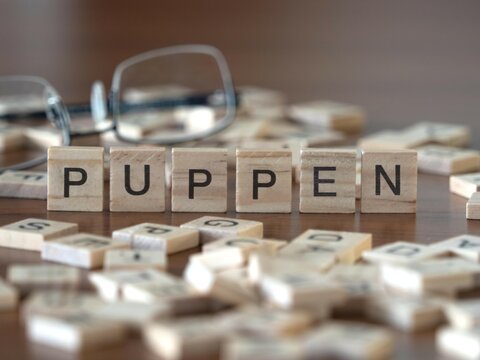 puppen Wort oder Konzept dargestellt durch hölzerne Buchstabenfliesen auf einem Holztisch mit Brille und einem Buch