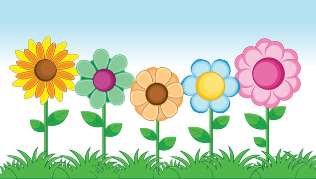 Different types of flower in the garden, colorful flower on sky background