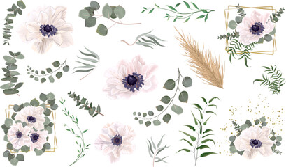 Vector grass and flower set. Eucalyptus, different plants and leaves, dry wood. White anemones, branches with flowers, compositions with gold frames 