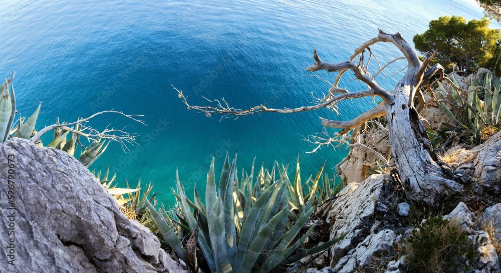 Poster beautiful view of the calm sae with reflection of trees in the water