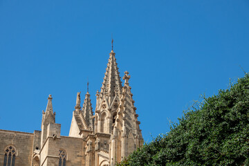 Fototapeta na wymiar Exterior view of the cathedral of Palma de Mallorca (Spain) on a summer morning