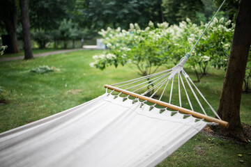 Summer garden with a hanging hammock for relaxation