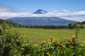 Pico Volcano / View from the island of Faial to the island of Pico with the volcano Pico, the...