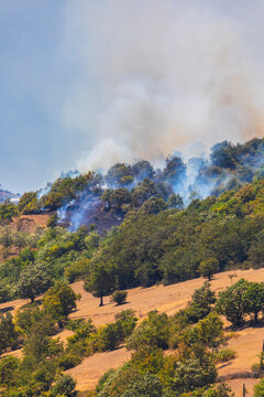 Extinguished forest fire on a mountainside