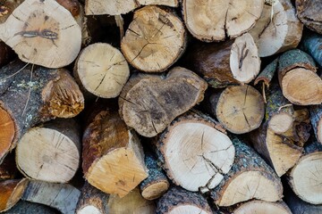 Logs of tree wood stored in the garden of a house prepared to make a fire to heat the house in winter.