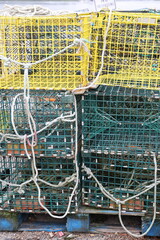 Obraz premium crab traps