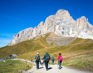 Group of hikers of different ages and gender with trekking poles and backpack hiking on a trail through green meadows in the Italian Alps. Sassopiatto - Sassolungo. South Tyrol, Italy
