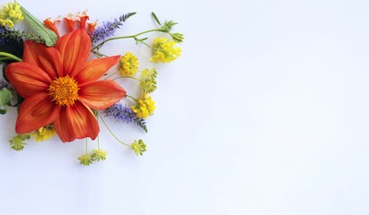A bright floral arrangement. Orange and red dahlias in a summer holiday bouquet. Background for a greeting card.