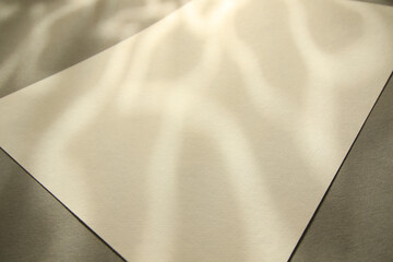 shadows and sunlight glow on white blank paper